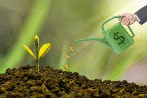 The Best Investment Right Now